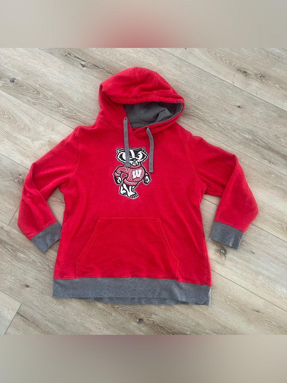 ASICS Wisconsin Badgers hoodie
